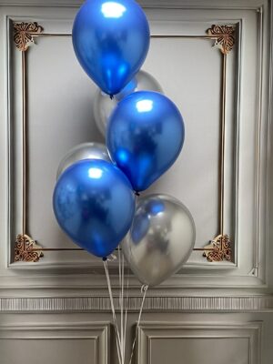 Blue & Silver Classic 3035