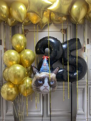 Grumpy Birthday Mood 1127
