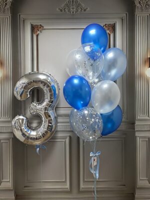 Silver 3 years 5095