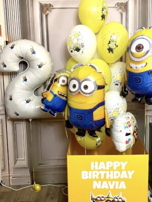 коробка of funny minions 0099