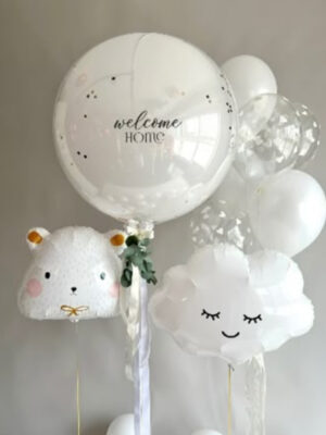Welcome home for baby 1043