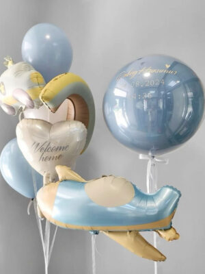 Welcome baby boy 1056