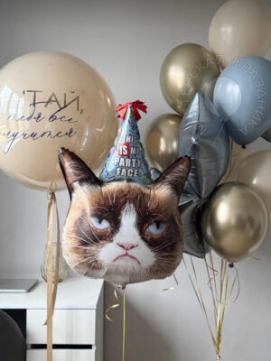 Grumpy Cat Party 1040