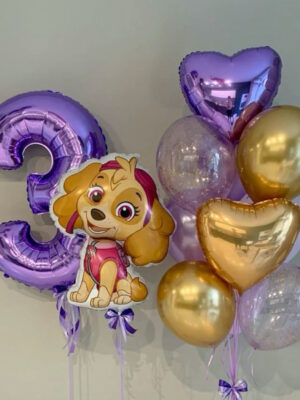 Paw Patrol: Skye 1109
